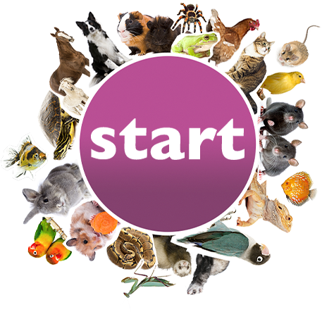 start