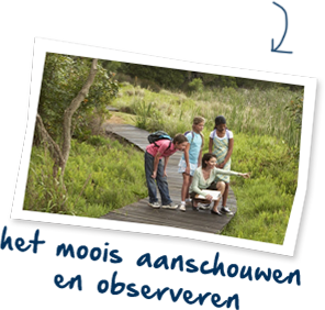 observeren